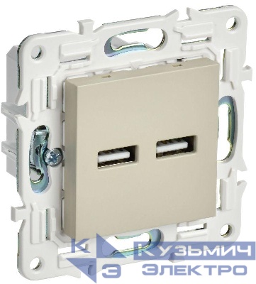 Розетка USB A+A 3.1А SKANDY SK-R15B беж. IEK SK-U21-D31-K10