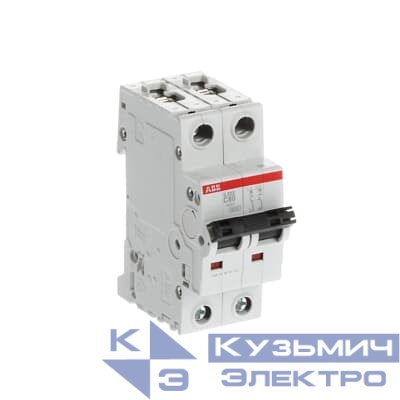 Автоматический выключатель 2-полюсный S202 C80  6кА   ABB 2CDS252001R0804