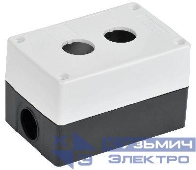 Корпус КП102-Р 2-м для кнопок бел. IEK BKP10-2-K01-R