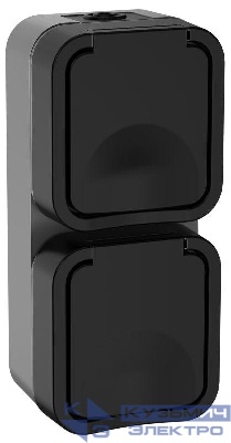 Розетка 2-м ОП TORS 16А IP55 TS132 вертик. с заземл. с крышкой графит IEK TS-R26-16-55-V-K53