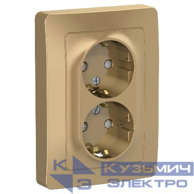 Розетка 2-м СП Blanca 16А IP20 250В с заземл. защ. шторки титан SE BLNRS001124