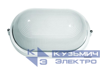 Светильник 1202S C01 NEW НБП 04-100-001 УХЛ1 "Открытый" 100Вт 130град.C овал бел. Camelion 13661