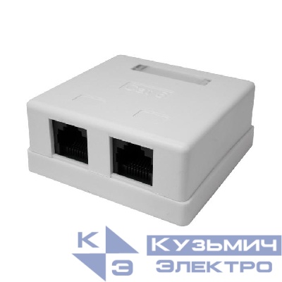 Розетка компьютерная 8P8C RJ-45 UTP кат.6 2 порта (DIY) SUPRLAN 10-0310-1