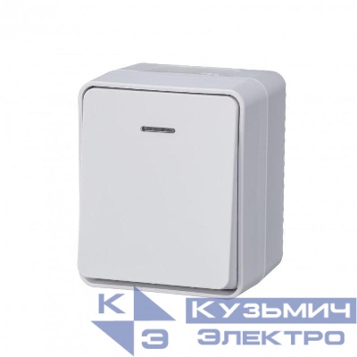 Выключатель 1-кл. ОП AtlasDesign PROFI IP54 10AX с подсветкой бел. SE ATN540113