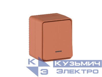 Выключатель 1-кл. ОП AtlasDesign PROFI IP54 10AX с подсветкой терракот. SE ATN547013