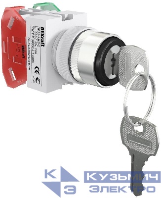 Переключатель на 2 положения I-O ПЕ-22 AKSR-2 d22мм прав. без фиксации с ключом DEKraft 25142DEK