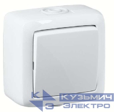 Переключатель 1-кл. ОП Альфа 16А IP44 220В без индикации бел. HEGEL ВА16-261