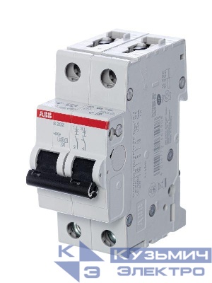 Выключатель автоматический модульный 2п C 10А 6кА S202 C10 ABB 2CDS252001R0104