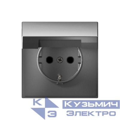 Розетка ArtGallery 16А IP20 с заземл. со шторками с крышкой быстрозажим. клем. механизм сталь SE GAL000946S