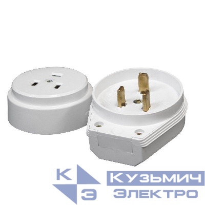 Разъем 1-м ОП РШ-ВШ 32А IP20 250В 2P+PE пластик. бел. PROxima EKF AS-250-O-01