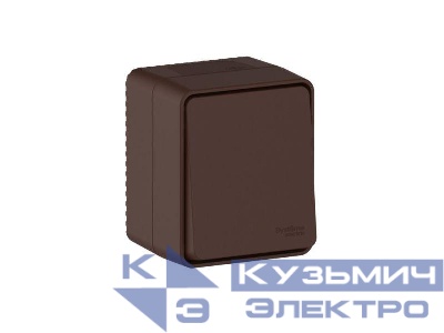 Выключатель кнопочный 1-кл. ОП AtlasDesign PROFI IP54 10AX корич. SE ATN546015