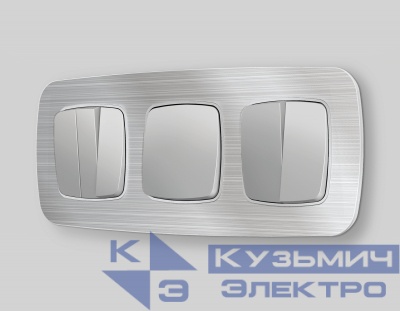 OP4010 Лицевая панель OMEGA (Серебро глянец) для 1-кл выключателей QUANT
