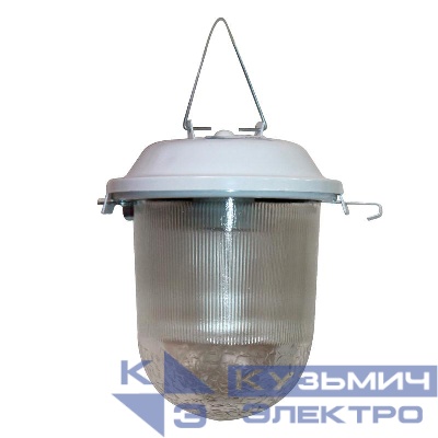 Светильник НСП 02-100-001 "Желудь А" IP52 Элетех 1005550305