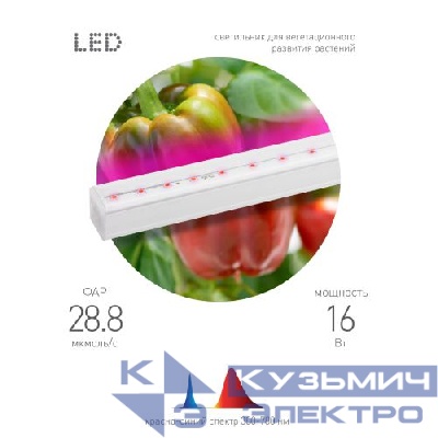 Светильник светодиодный для растений FITO-16W-Т5-N 16Вт 220-240В линейный для периода вегетации фиолет. свечение ЭРА Б0045233