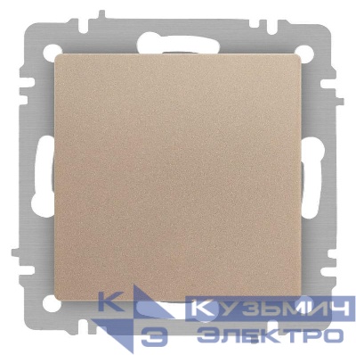 Переключатель перекрестный 1-кл. СП Accent 6-108-04 10А IP20 250В шампань Intro Б0063586