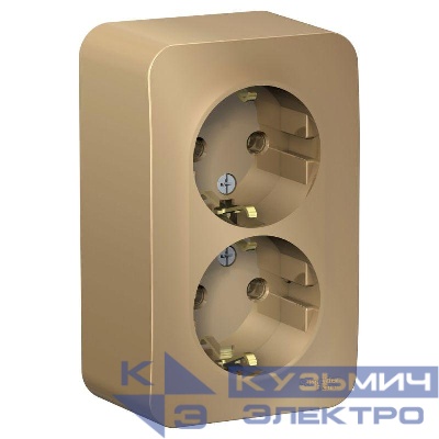 Розетка 2-м ОП Blanca 16А IP20 250В с заземл. без защ. шторок с изолир. пластиной титан SE BLNRA010214