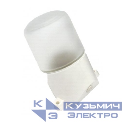 Светильник для бани НББ 01-60-002 пласт/стекло наклон IP65 E27 max 60Вт 158х116х85 бел. ЭРА Б0048407