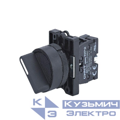 Переключатель NP2-ED21 2 положения фиксацией 1НО IP40 (R) CHINT 574095