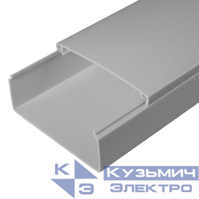 Кабель-канал 100х40 L2000 с двойн. замком RAL 7035 сер. Промрукав PR03.0081