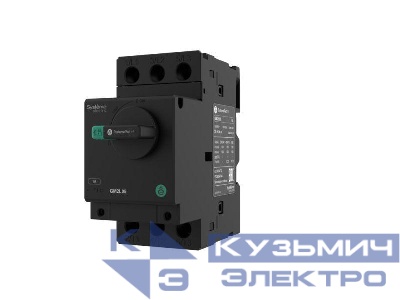 Выключатель автоматический с защ. двигателя GM2L 1.6А магнит. расцеп. поворотн. рокоят. SE GM2L06
