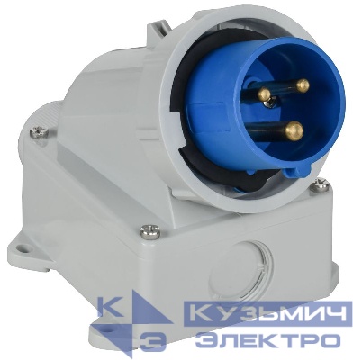 Вилка стационарная ССИ-5132 16А 6ч 220В 2P+PE IP67 IEK PSR51-016-3-0-67