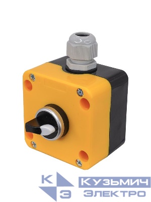 Пост управления ПКУ-22-1333-65У1 1 переключатель на три положения с фиксацией НО+НО IP65 Электротехник ET014865