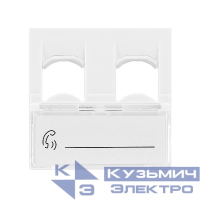 Вставка 45х45 на 2 мод. Mosaic с прозр. шторкой и увеличенным окном маркировки бел. Rexant 03-0162