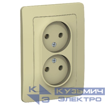 Розетка 2-м СП Blanca 16А IP20 250В без заземл. без защ. шторок беж. SE BLNRS000027