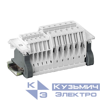 Этикетки Viking с гравировкой Leg 039597