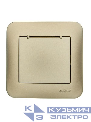 Розетка 1-м СП ASTI 16А IP20 с заземл. с крышкой термопласт в сборе золото. LEZARD 7081-3636-123В