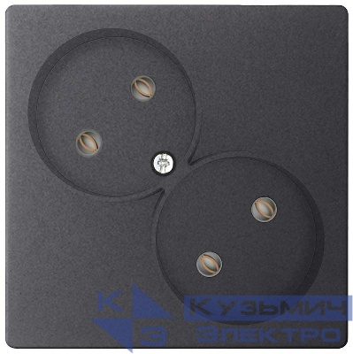 Розетка 2-м СП Simon 24 16А IP20 2х2P без защ. шторок механизм графит Simon 2450457-038