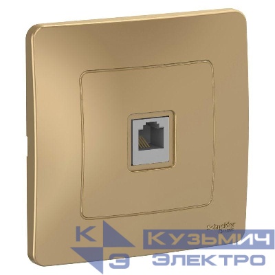 Розетка телефонная 1-м СП Blanca RJ11 титан SE BLNIS011004