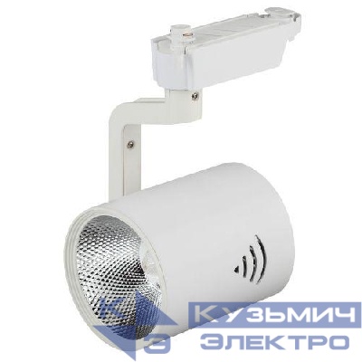 Светильник трековый TR1-30 30Вт COB 1ф WH бел. Эра Б0032099