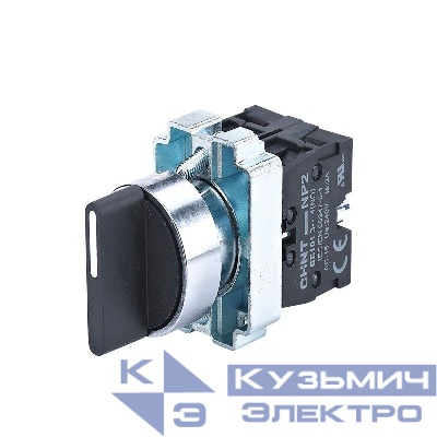 Переключатель NP2-BD35 3 положения фиксацией 1НО+1НЗ IP40 (R) CHINT 574658