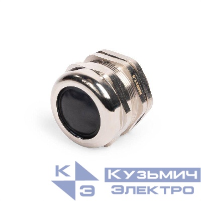 Ввод кабельный латунный MGM 48 (22-32мм) (уп.6шт) Fortisflex 87988