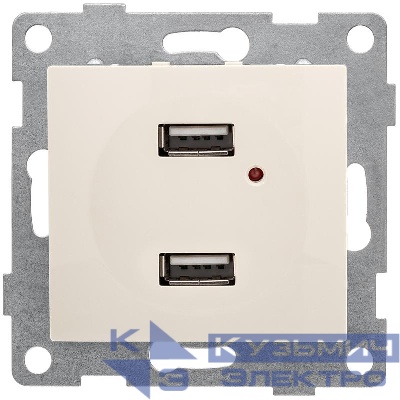 Розетка USB 2-м СП Bravo механизм беж. GUSI С10USB2-003