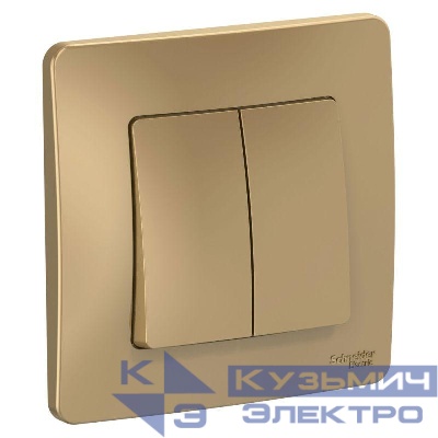 Выключатель 2-кл. СП Blanca 10А IP20 (сх. 5) 250В титан SE BLNVS010504