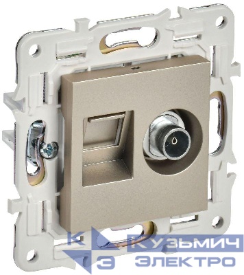 Розетка двойная TV+RJ45 кат.5E SKANDY SK-A14Sh шампань IEK SK-AK20-1-K37