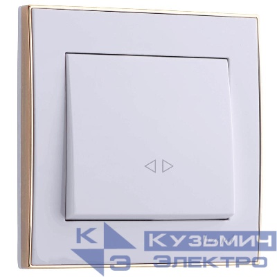 Выключатель 1-кл. СП Rain 10А IP20 с зол. боковой вставкой бел. LEZARD 703-0226-107