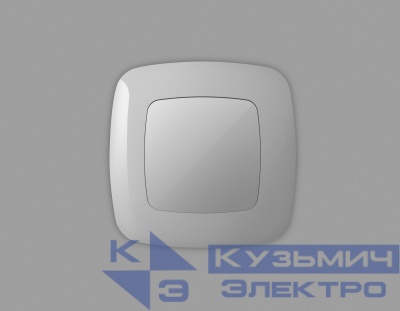 OP4160 Лицевая панель OMEGA (Серебро глянец) заглушка для суппорта QUANT