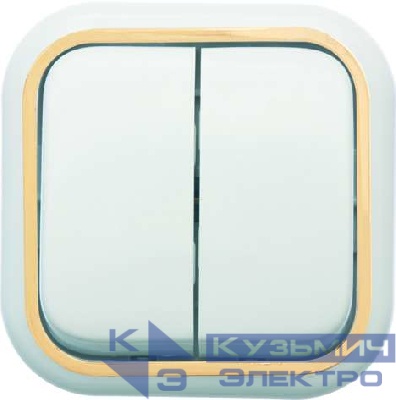 Выключатель 2-кл. ОП Валентина 10А IP20 А56-025 бел./зол. Кунцево 7635