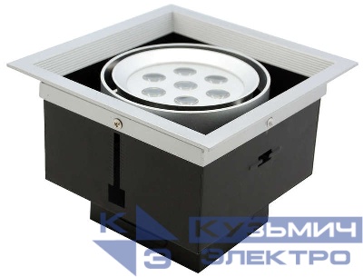 Светильник TRZ 8-01-W-61 бел. корпус NLCO 400155