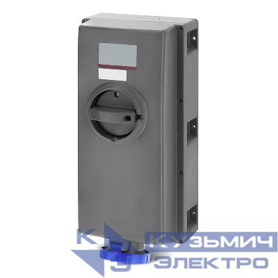 Розетка наружн. уст. 125А 230В 2P+E с мех. блокировкой и бок. расположением разъема IP67 DKC DIS50312583