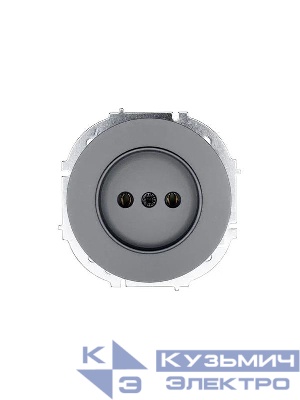 Розетка 1-м СП OSEN без заземл. ПБТ механизм сер. матов. LEZARD 743-7488-121B