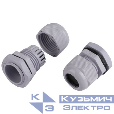 Ввод кабельный (сальник) PG 19 d12-15мм (d отверст. 23мм) IP54 (уп.15шт) Эра Б0065196