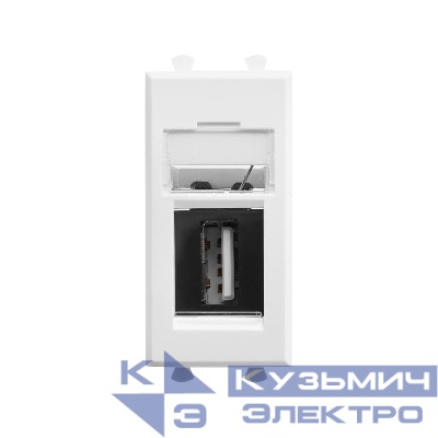 Розетка USB 1мод. Avanti "Белое облако" тип А-А модульная DKC 4400401