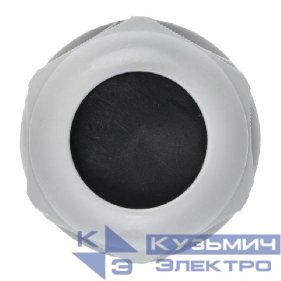 Сальник PG21 IP54 EKF plc-pg-21