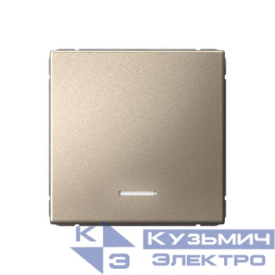 Выключатель 1-кл. ArtGallery (сх. 1а) 10AX с подсветкой механизм шампань SE GAL000513