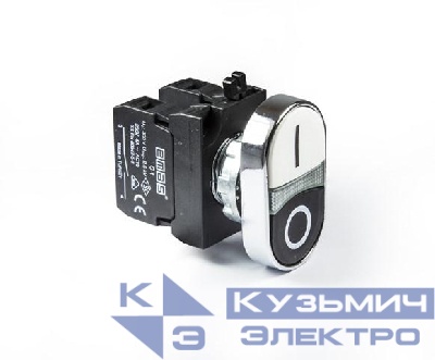Кнопка сдвоенная (1НО+1НЗ) (CM) черн./бел. EMAS CM102K20HB