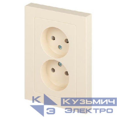 Розетка 2-м СП Accent 6-204-02 16А IP20 250В 2P AL/CU сл. кость Intro Б0063474